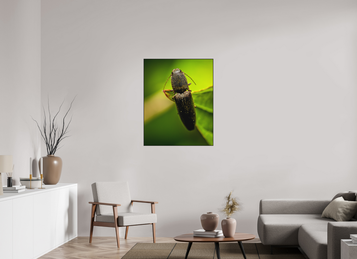 80 x 100 cm, Impression pigmentaire Fine Art sous plexi avec ArtBox en chêne massif noir 4mm ad