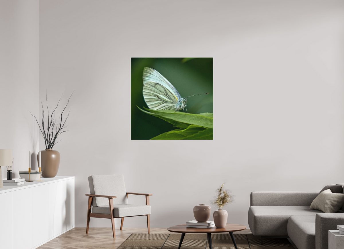100 x 100 cm, Impression Fine Art papier Hahnemühle German Etching sans cadre Butterfly