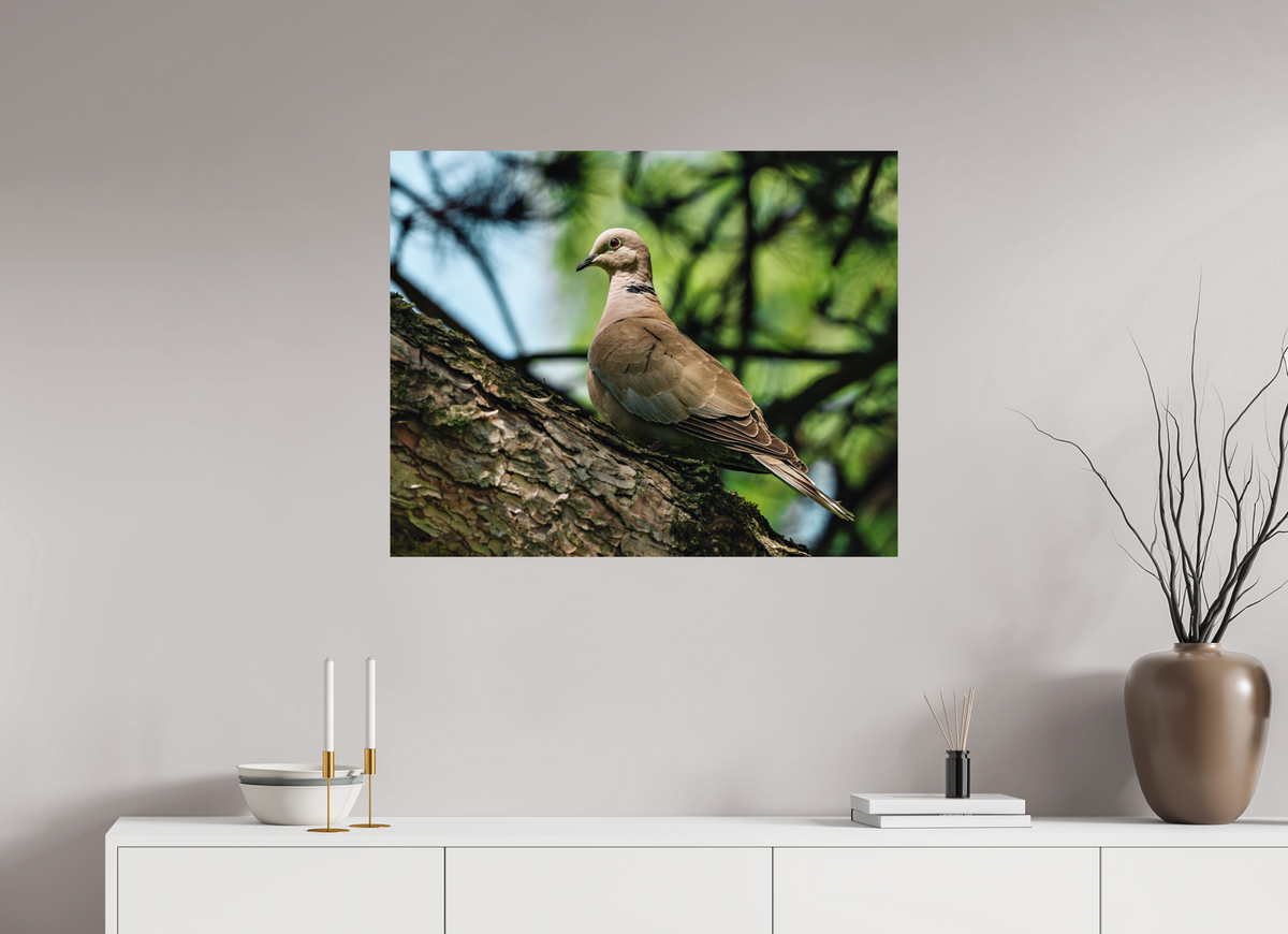87.5 x 70 cm, Tirage photo métallisé sur papier Fuji Crystal Pearl La Colombe de Romont
