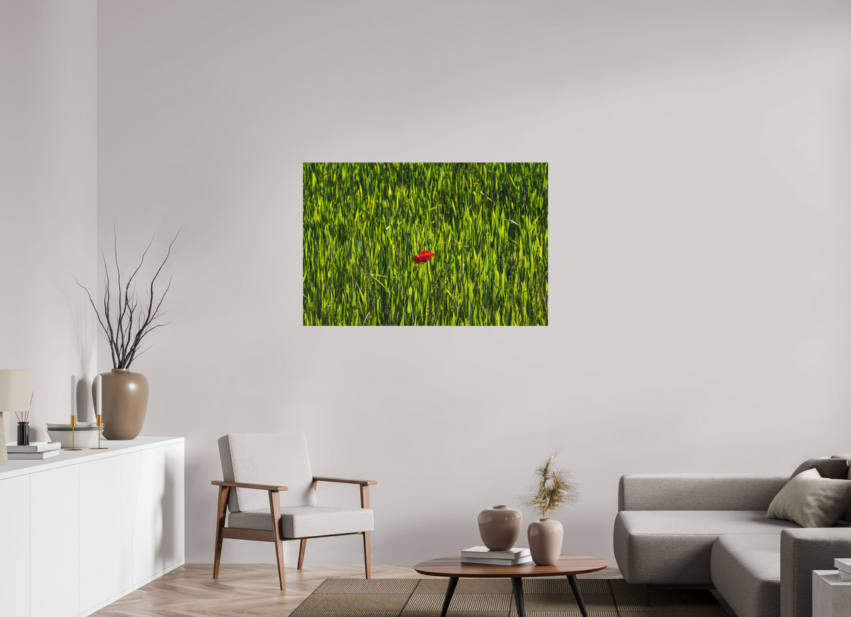 120 x 80 cm, Impression pigmentaire Fine Art sous plexi s
