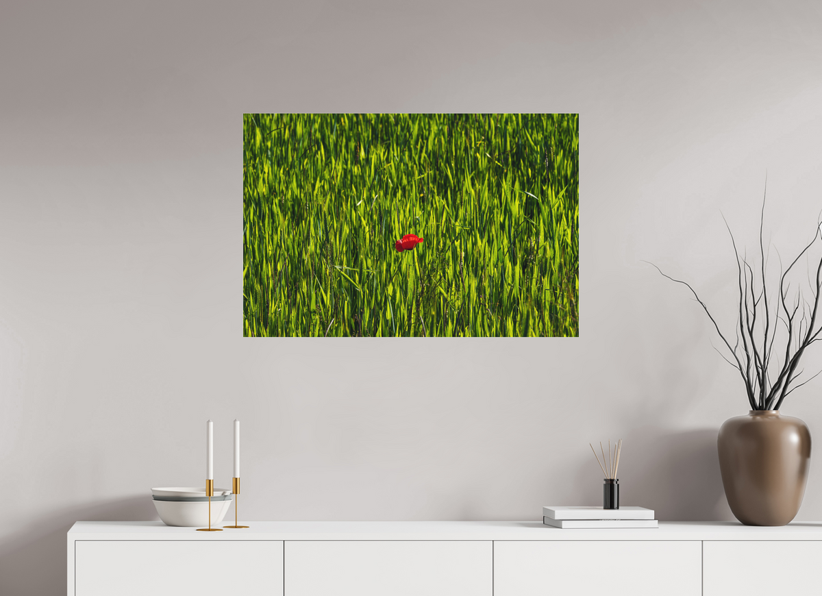 90 x 60 cm, Impression pigmentaire Fine Art sous plexi s