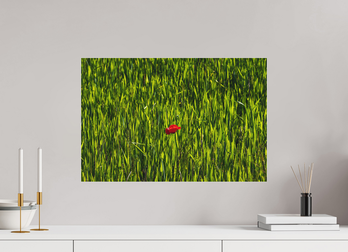 60 x 40 cm, Impression pigmentaire Fine Art sous plexi s