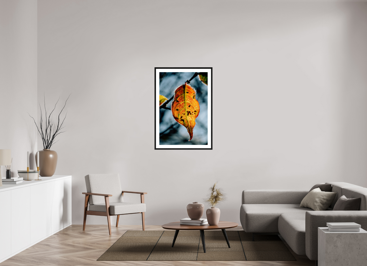 70 x 105 cm, Tirage photo métallisé sur papier Fuji Crystal Pearl avec cadre Hambourg 20mm, chêne noir Feuille orange d'hiver