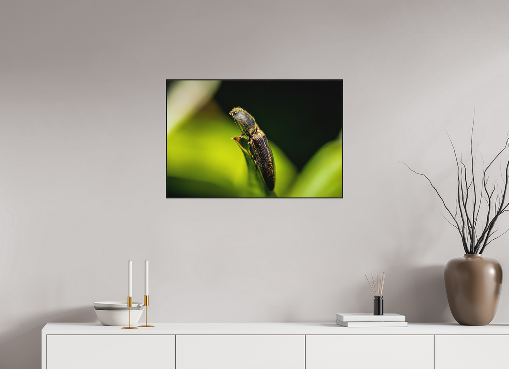 75 x 50 cm, Impression pigmentaire Fine Art sous plexi avec ArtBox en chêne massif noir 4mm ad