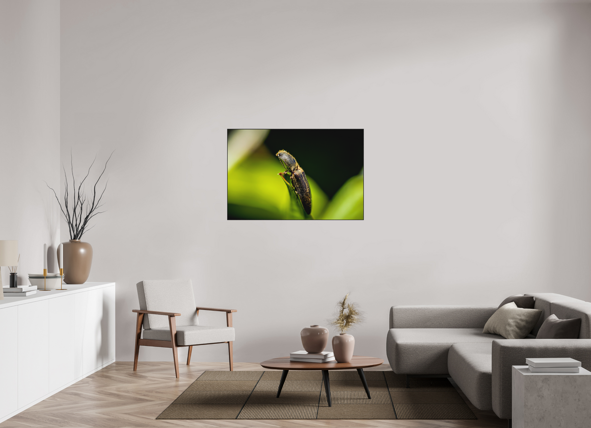 120 x 80 cm, Impression pigmentaire Fine Art sous plexi avec ArtBox en chêne massif noir 4mm ad