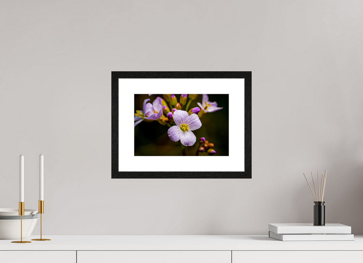 30 x 20 cm, Tirage photo métallisé sur papier Fuji Crystal Pearl avec cadre Hambourg 20mm, chêne noir Fleurs en poésie