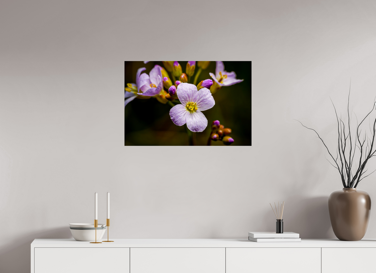 75 x 50 cm, Tirage photo métallisé sur papier Fuji Crystal Pearl Fleurs en poésie