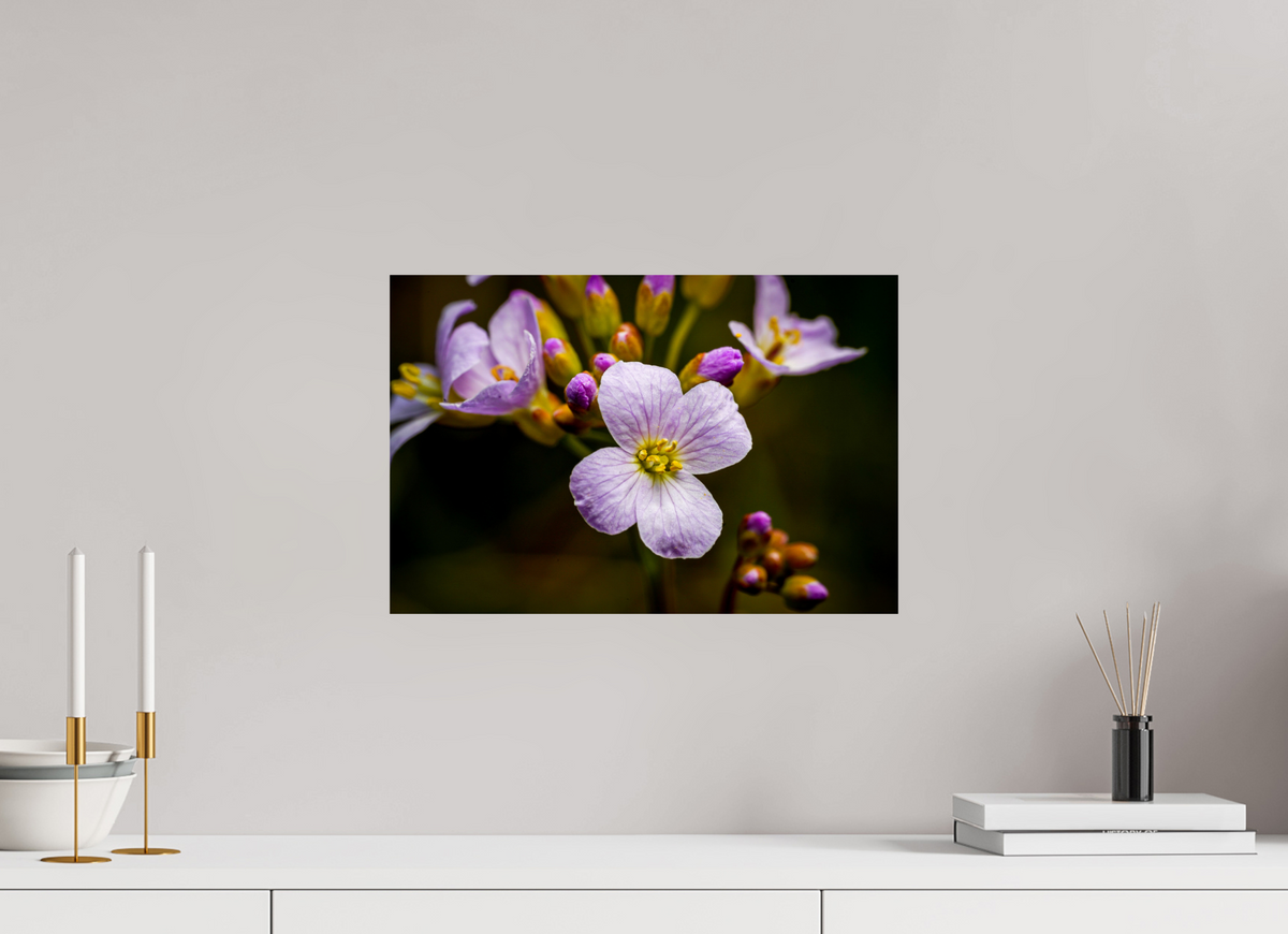 45 x 30 cm, Tirage photo métallisé sur papier Fuji Crystal Pearl Fleurs en poésie